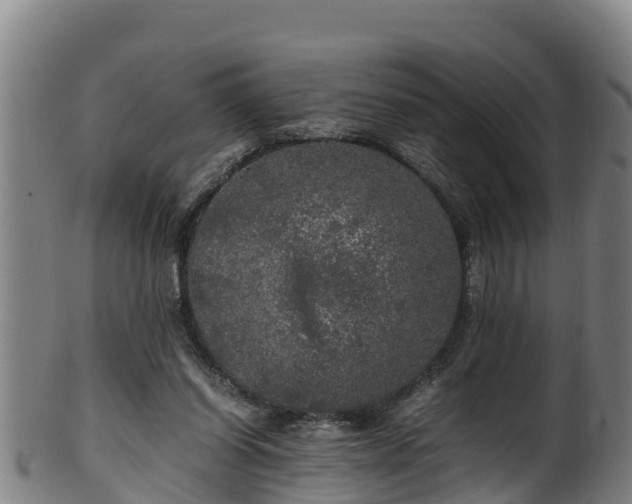 X0000100230254200806061416