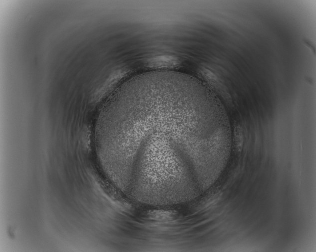 X0000100230255200806061416