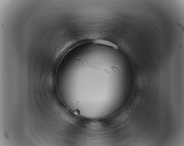 X0000100230256200806061416