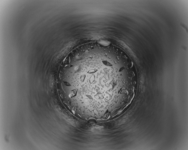 X0000100230257200806061416