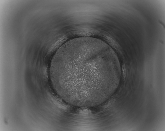 X0000100230258200806061416