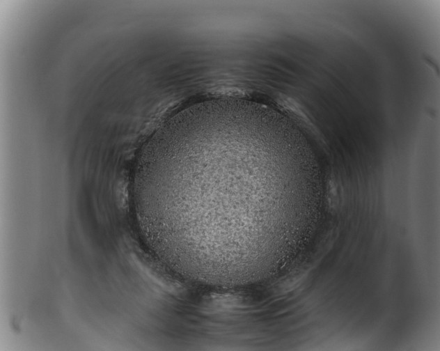 X0000100230259200806061416