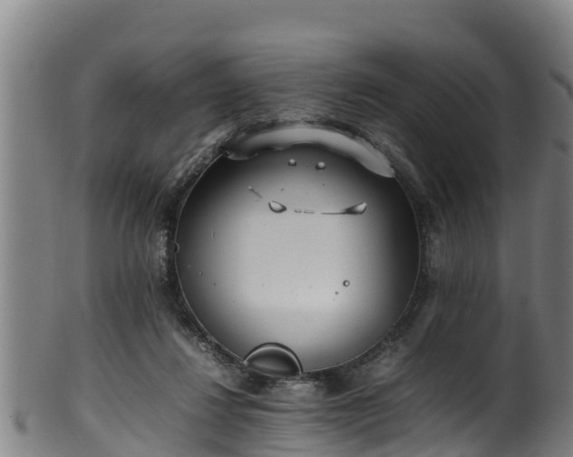 X0000100230260200806061416