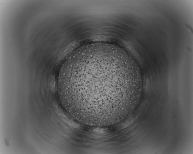 X0000100230261200806061416