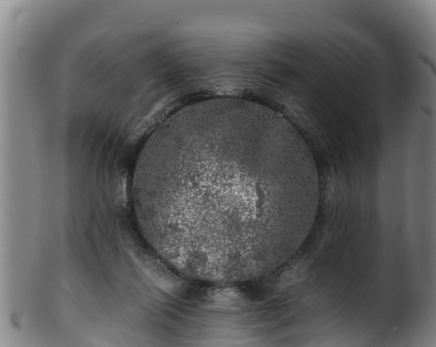 X0000100230262200806061416