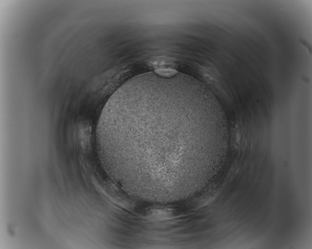 X0000100230263200806061416