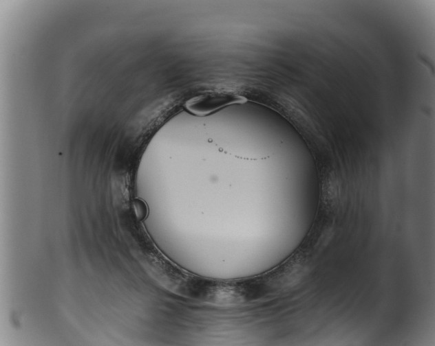 X0000100230264200806061416