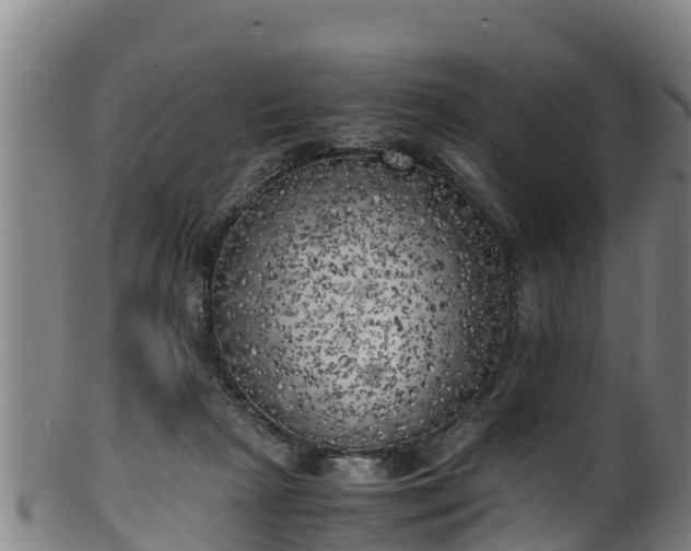 X0000100230265200806061416