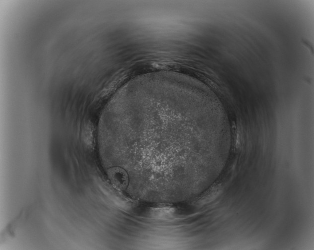 X0000100230266200806061416