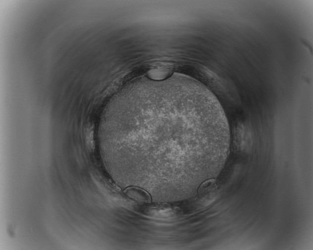 X0000100230267200806061416