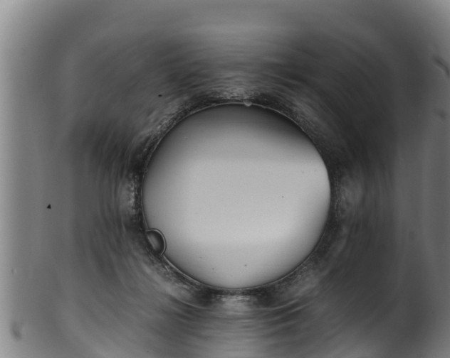 X0000100230268200806061416