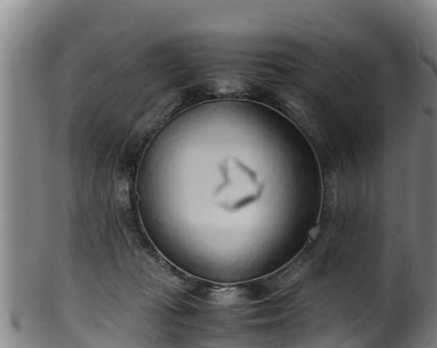 X0000100230269200806061416