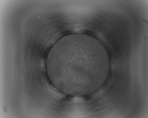 X0000100230270200806061416