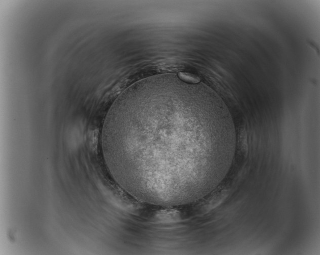 X0000100230271200806061416