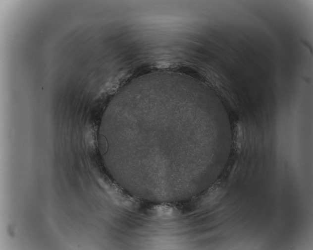 X0000100230272200806061416