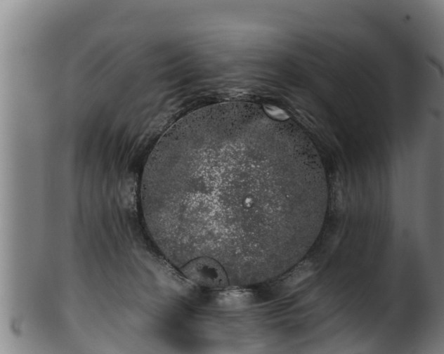 X0000100230274200806061416