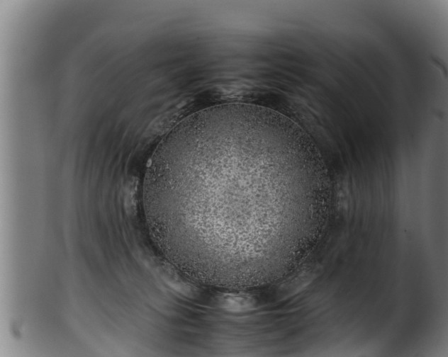 X0000100230275200806061416