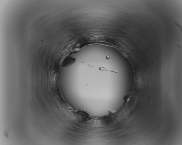 X0000100230276200806061416