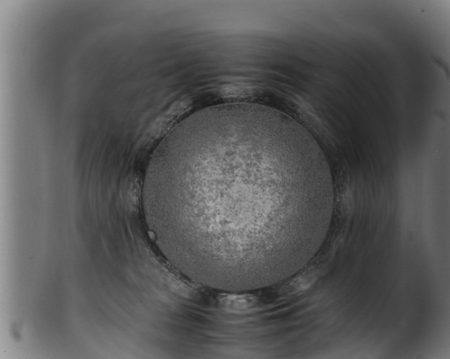 X0000100230277200806061416