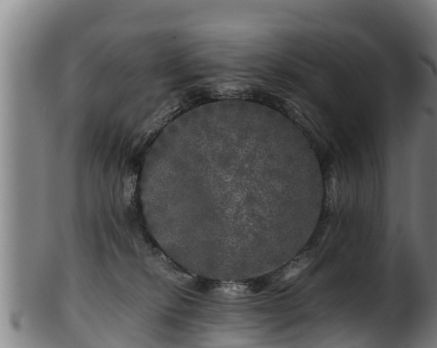 X0000100230278200806061416