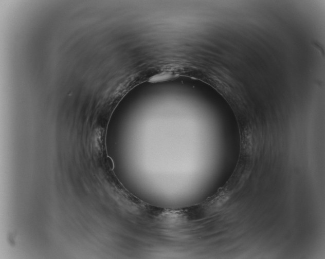 X0000100230280200806061416