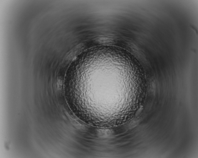 X0000100230281200806061416