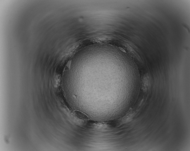 X0000100230284200806061416