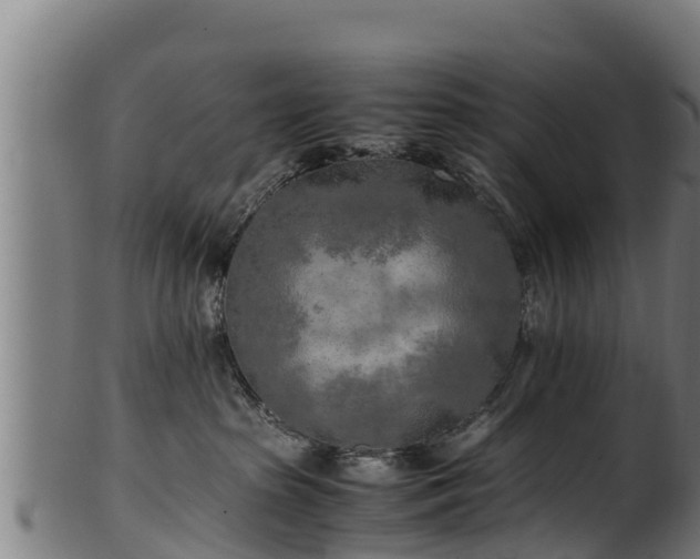 X0000100230285200806061416