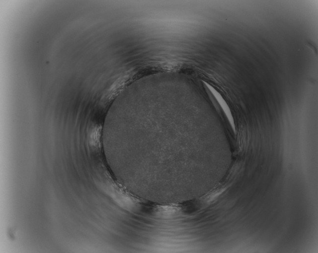 X0000100230286200806061416