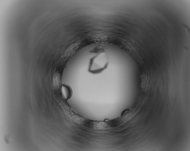 X0000100230287200806061416