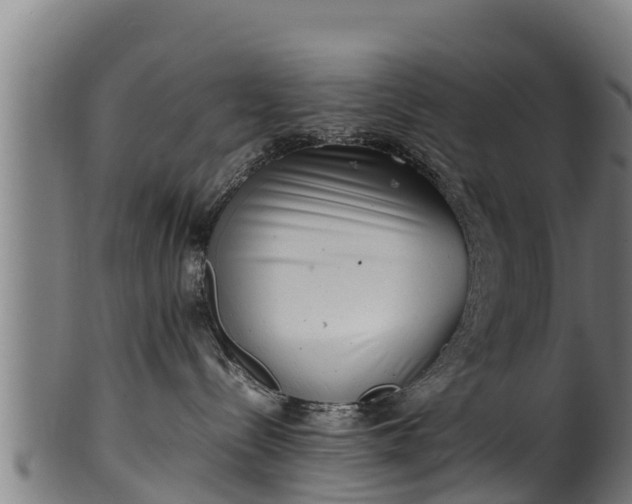 X0000100230288200806061416