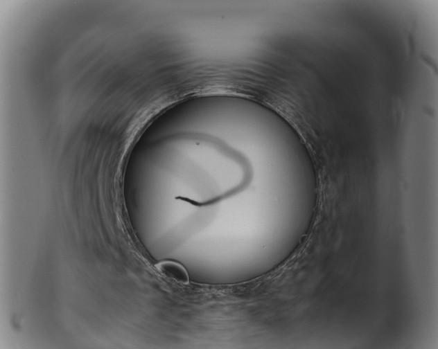 X0000100230289200806061416