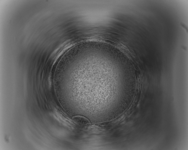 X0000100230290200806061416