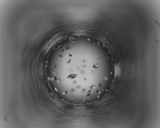 X0000100230291200806061416