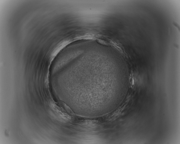 X0000100230292200806061416