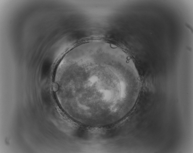 X0000100230293200806061416