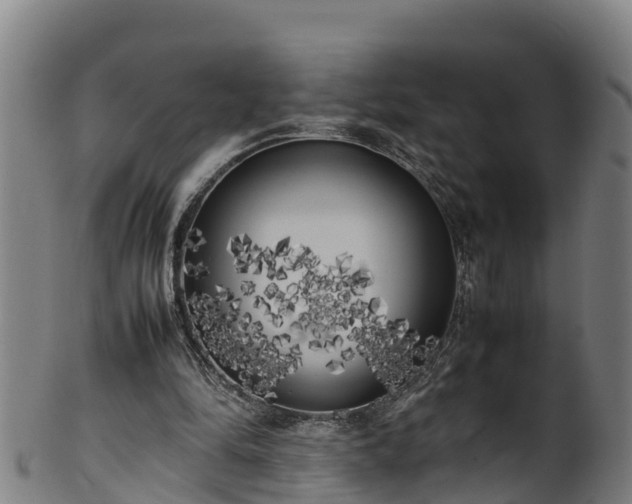X0000100230294200806061416