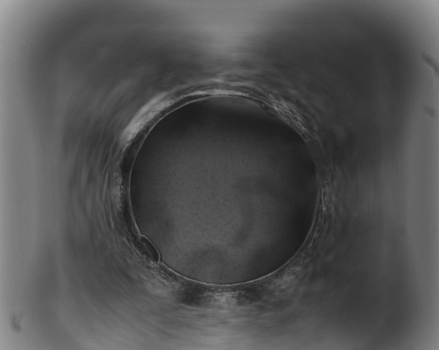 X0000100230295200806061416