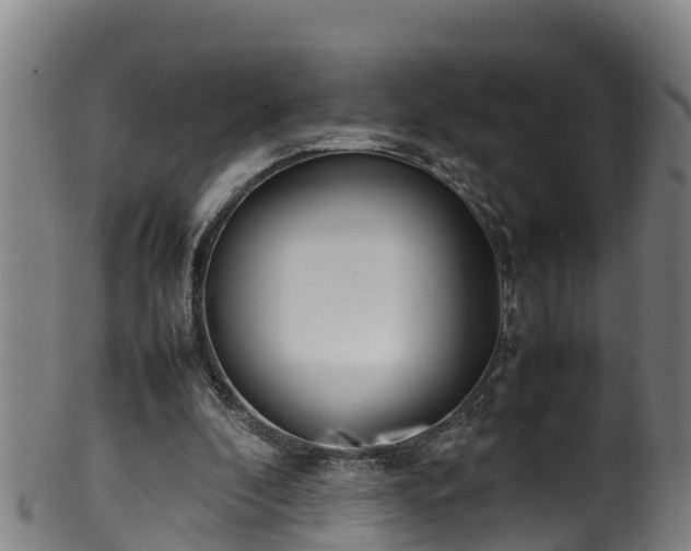 X0000100230296200806061416