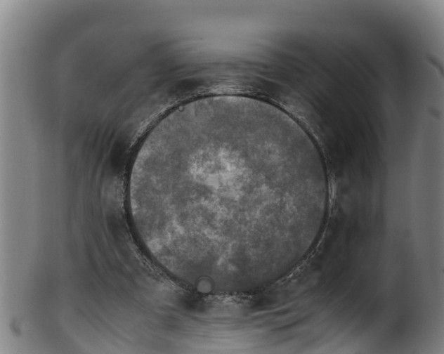 X0000100230297200806061416