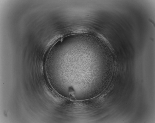 X0000100230298200806061416