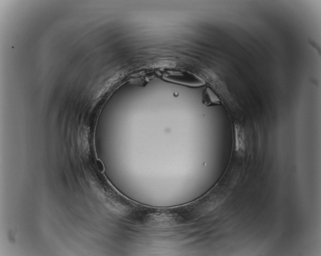 X0000100230300200806061416