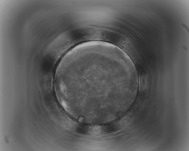 X0000100230301200806061416