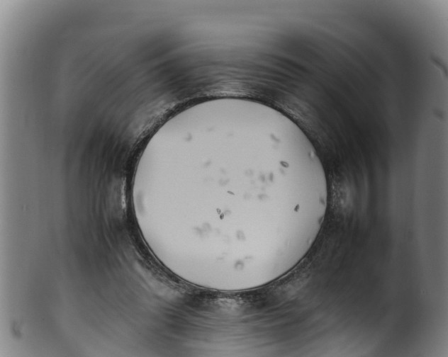X0000100230302200806061416