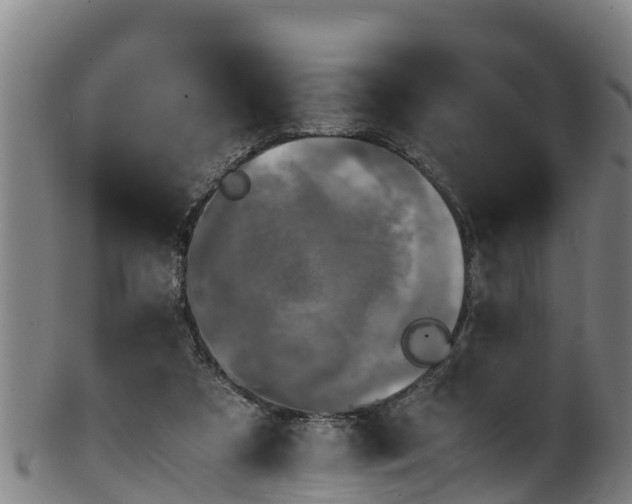 X0000100230305200806061416