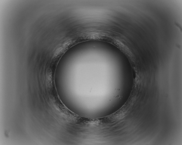 X0000100230306200806061416