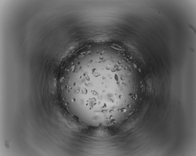 X0000100230308200806061415