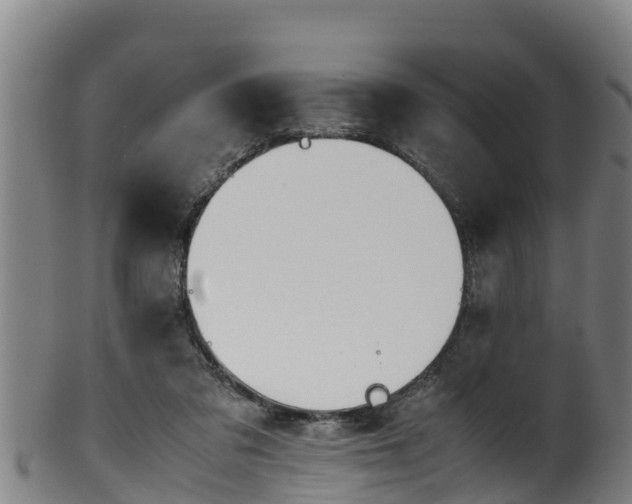 X0000100230309200806061415