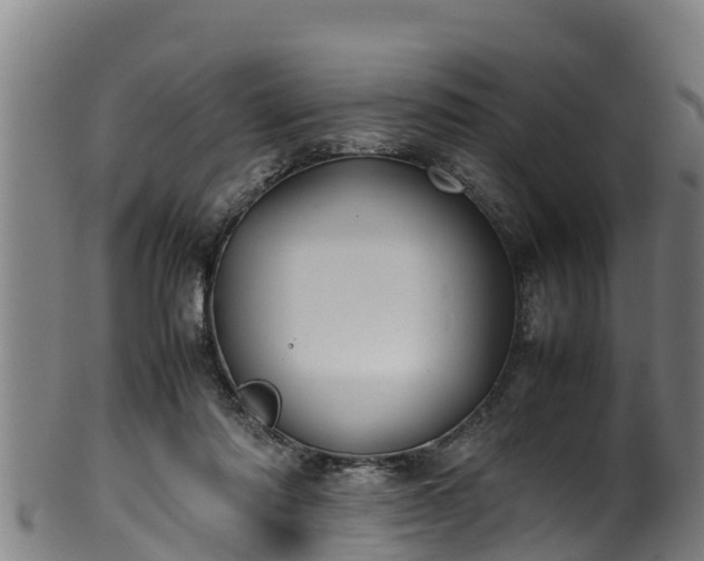 X0000100230310200806061415