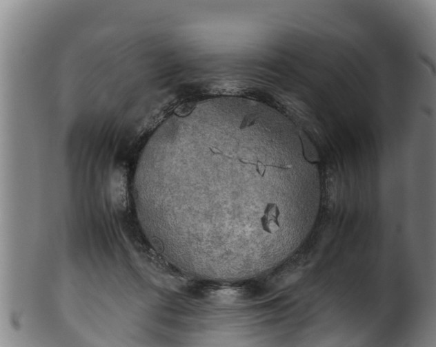 X0000100230312200806061415